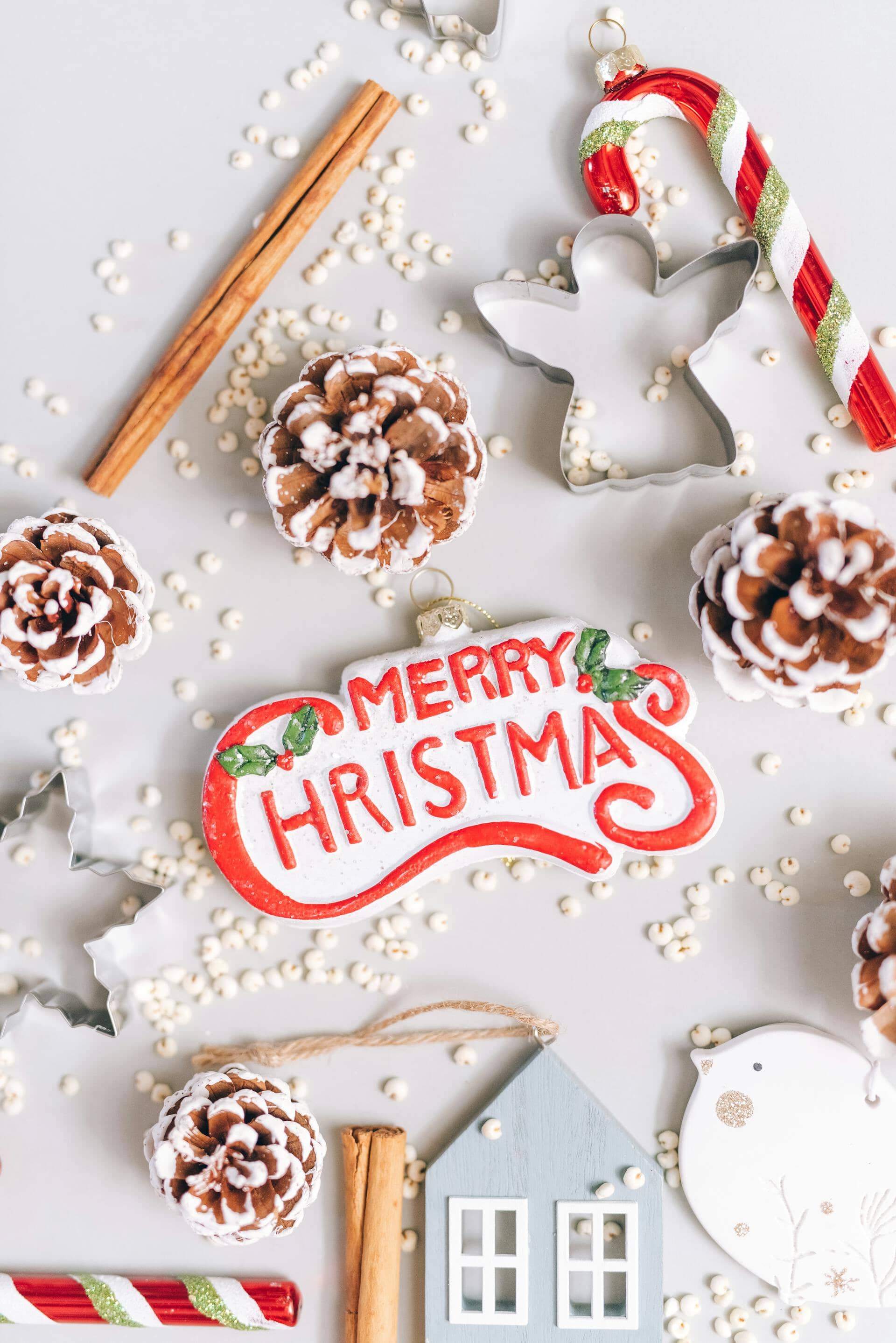 🎄 Merry Christmas from Our Family to Yours 🎄